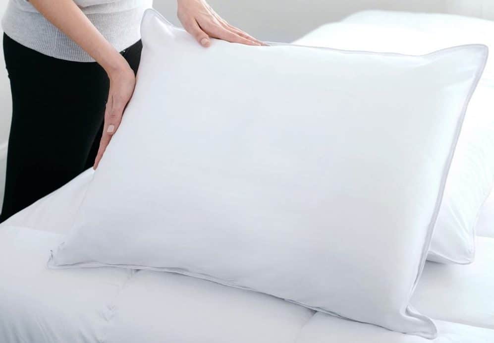 Sealy-Posturepedic-Soft-Down-Stomach-Sleepers-Standard-Size-Pillow-ec036595-3af4-4ccc-92b6-7fb72077f54a