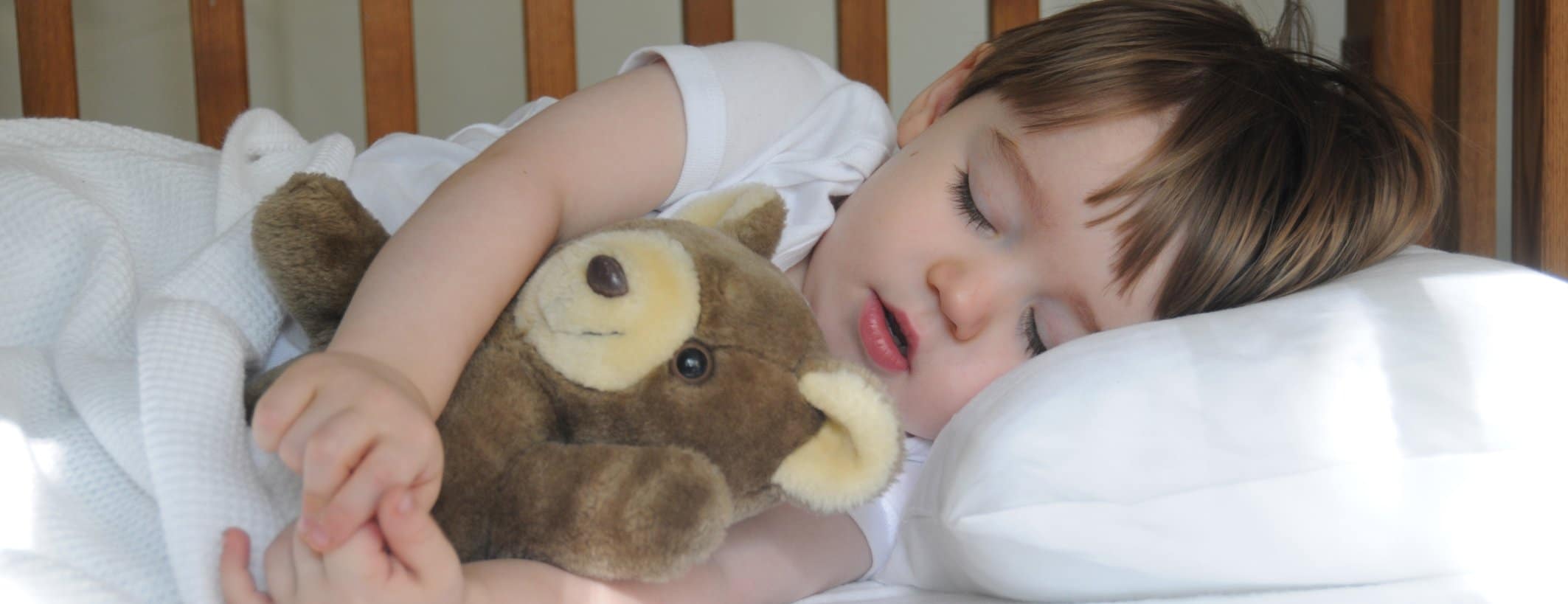 12 Best Toddler Pillows Reviewed In Detail Feb 2020
