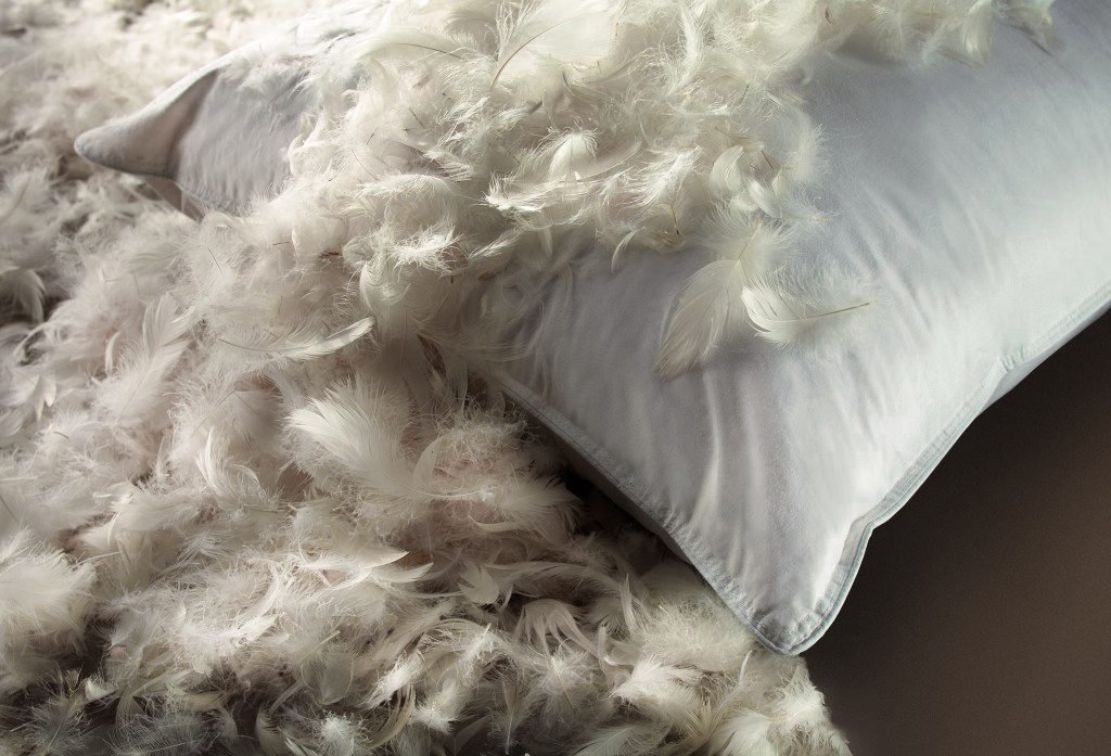 Best Feather Pillows