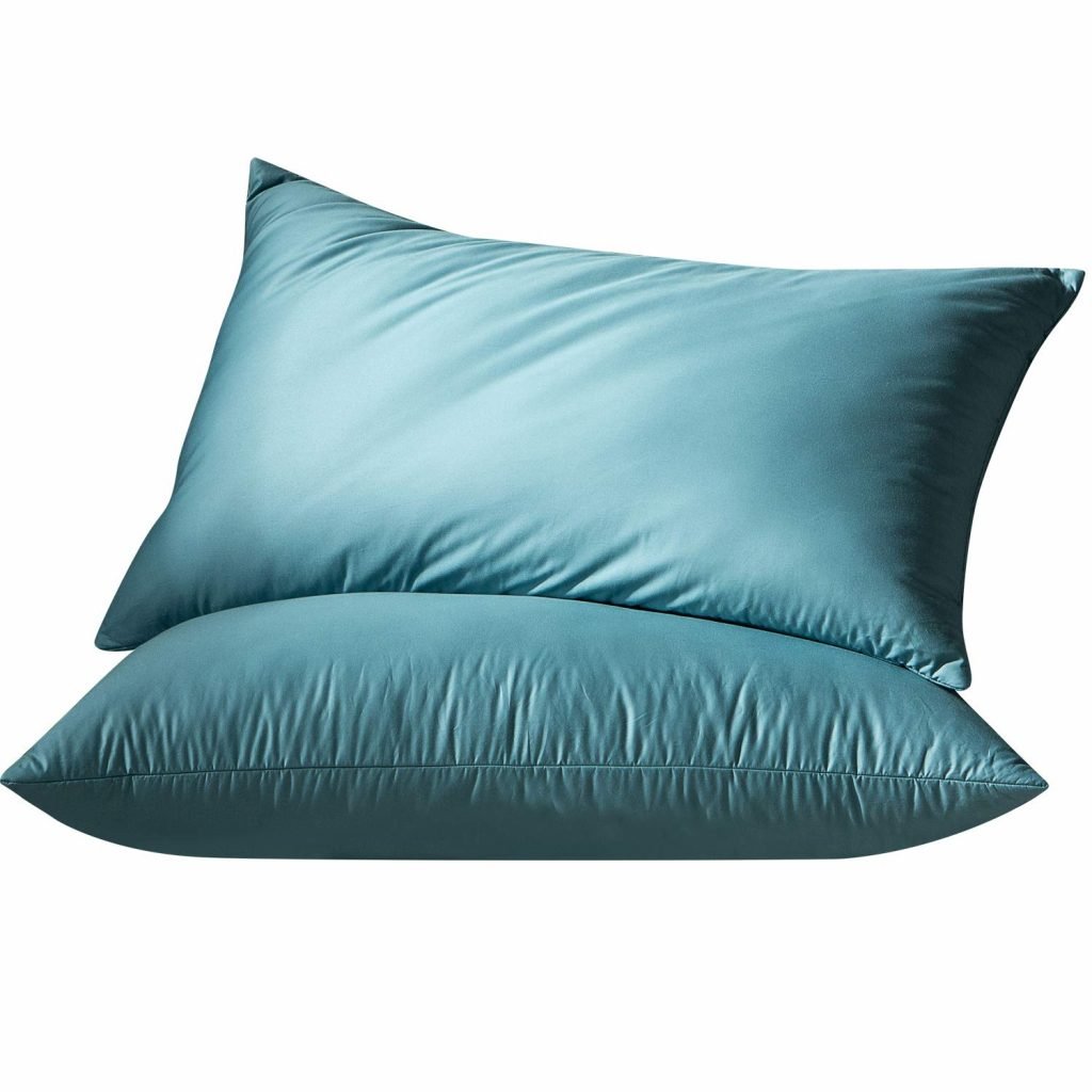 Globon Luxurious White Goose Feather and Down Bed Pillows