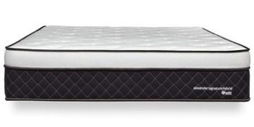 Nest-Bedding-Alexander-Signature-Hybrid