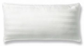 Xtreme Comforts 100 Bamboo Pillow