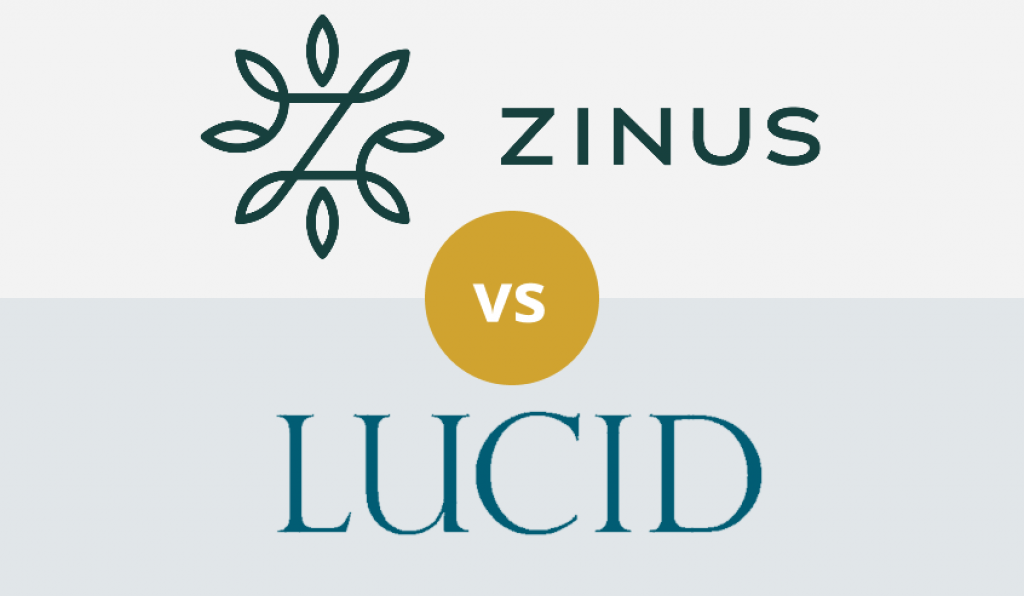 Zinus vs LUCID: Which Is Better for You?