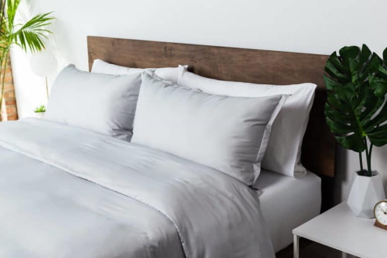 18 Best Pillow Cases Reviewed in Detail (Fall 2023)