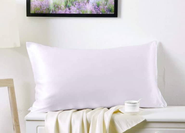 18 Best Pillow Cases Reviewed in Detail (Fall 2023)