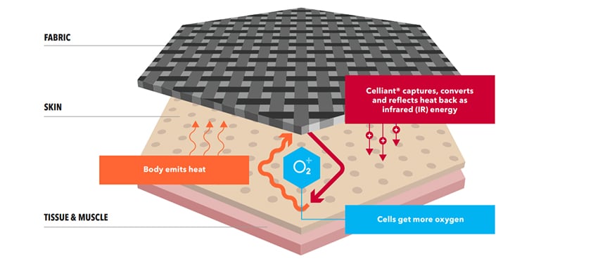 Everything You Need to Know about Celliant