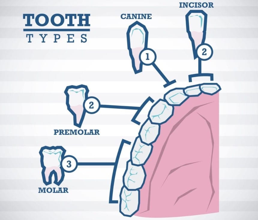 How to Sleep after Wisdom Teeth Removal?