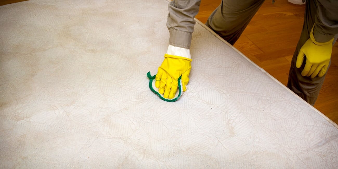 How to Get Vomit Out of Mattress It's Easier Than You Thought! (Spring