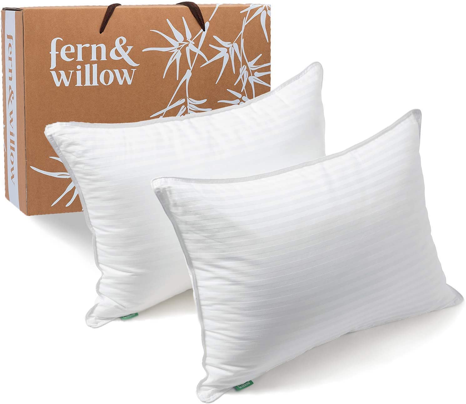 Fern and Willow Pillow
