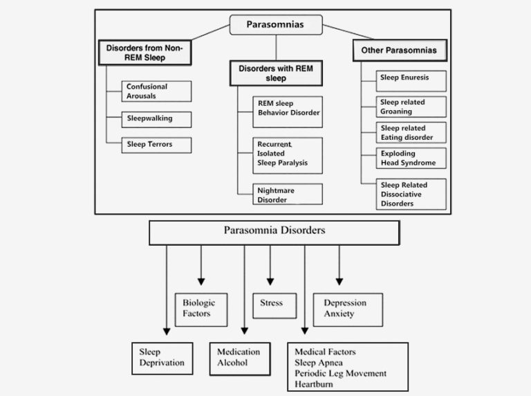 Sleep Talking What Is It and How to Stop It? [Upd. 2021] (Spring 2023)