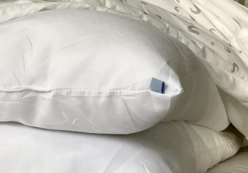 Sleepgram Pillows Review (Fall 2022)