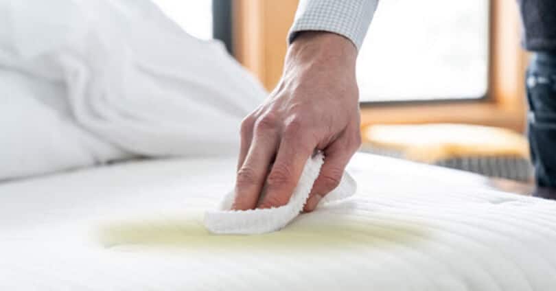 How to Get Pee Out Of a Mattress: Most Effective Methods!