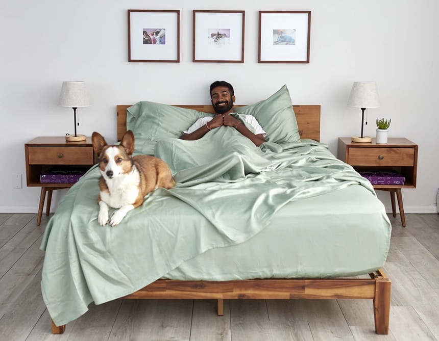 5 Best Sheets for Dog Hair – Your Furry Friend Deserves Their Place By Your Side!