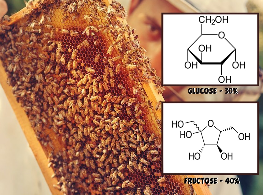 Is Eating Honey Before Bed a Healthy Habit?