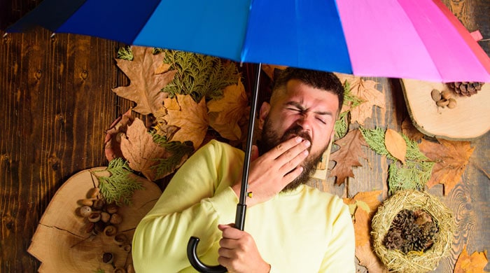 Why Does Rain Make You Sleepy? And How to Overcome Sleepiness?