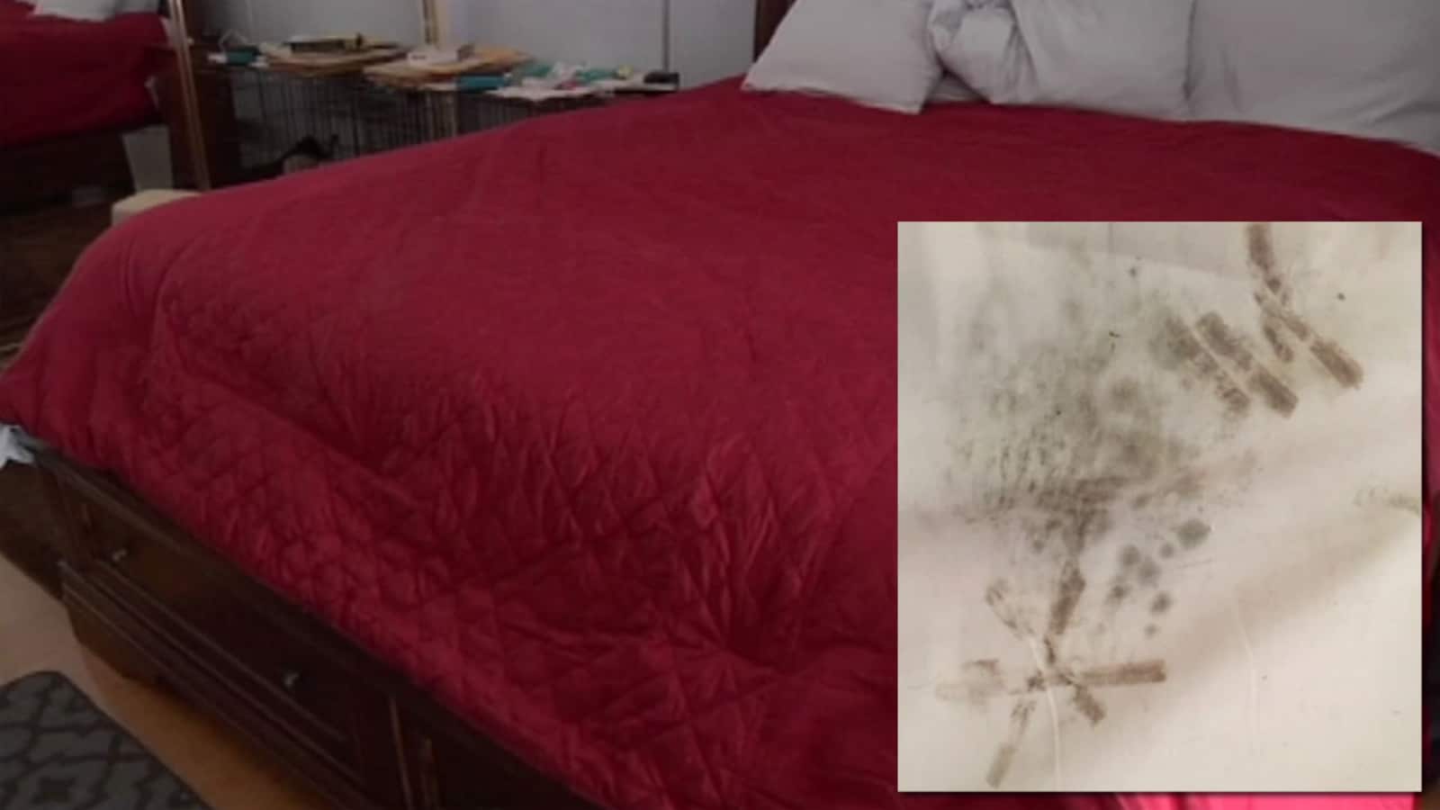 mold stains on air mattress