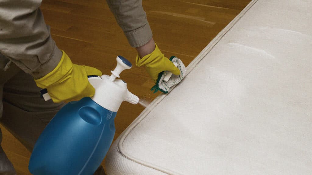Mold on Mattress: How to Avoid It and What to Do with It if You Have It? (2023)