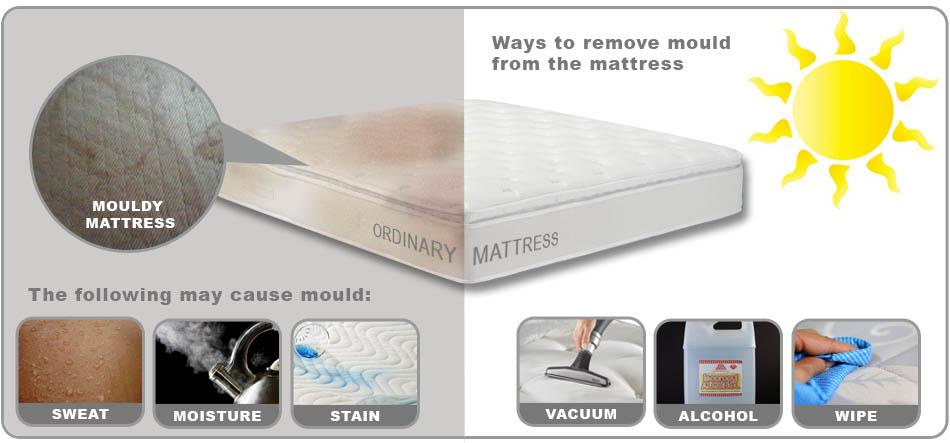 Mold on Mattress: How to Avoid It and What to Do with It if You Have It?