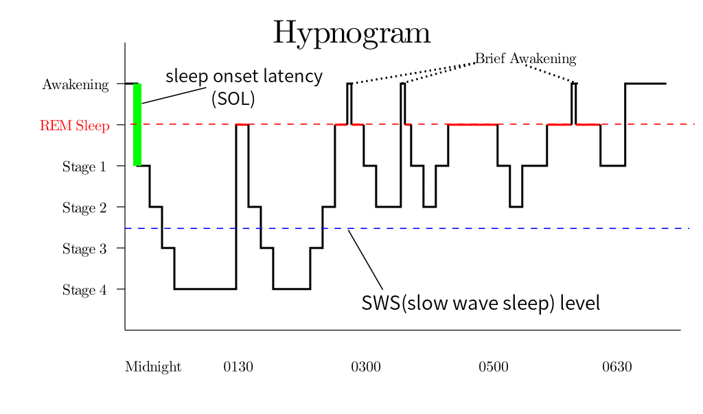 Stages of Sleep: Their Number and Effect