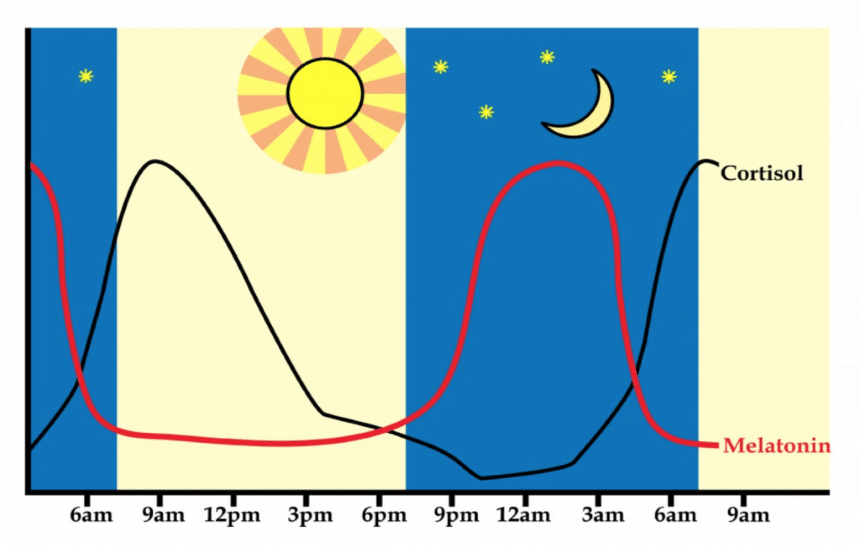 What to Do if Your Baby Goes Through 11 Month Sleep Regression?