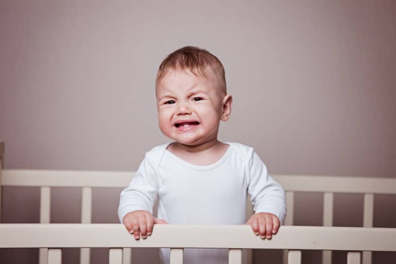 What to Do if Your Baby Goes Through 11 Month Sleep Regression?