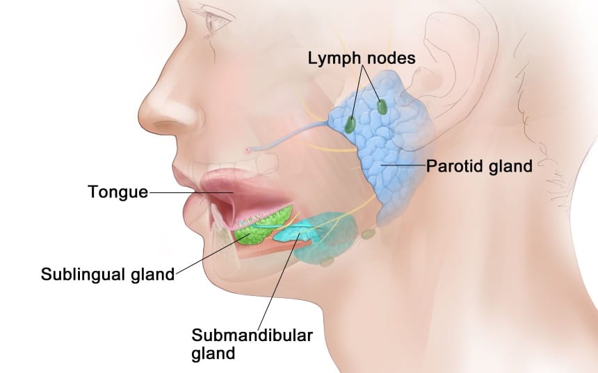 Helpful Advice on How to Stop Drooling in Your Sleep