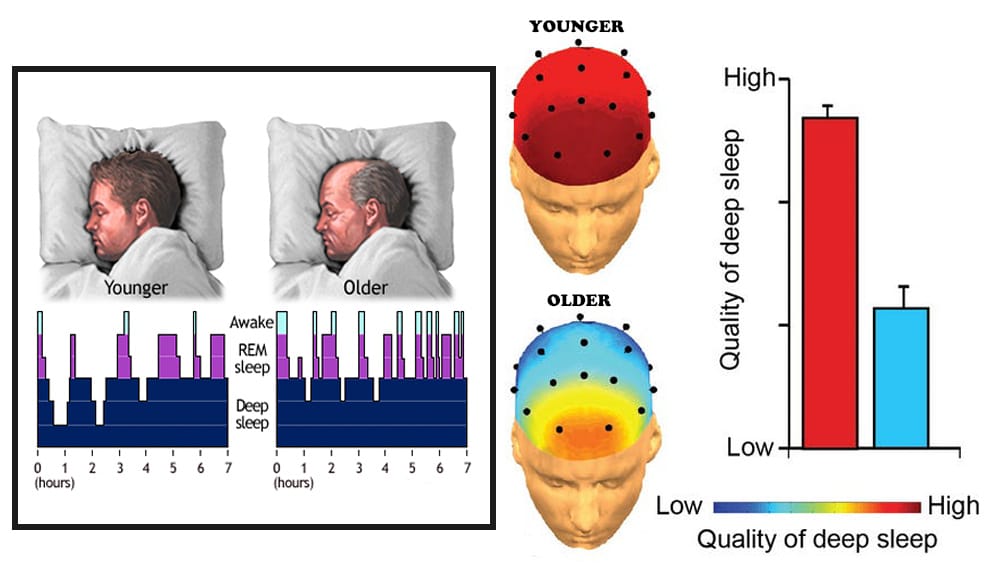 Stages of Sleep: Their Number and Effect