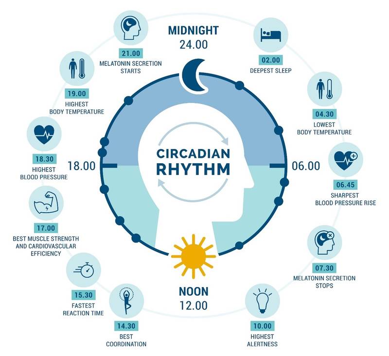 Scientifically Sound Techniques on How to Fall Asleep Fast