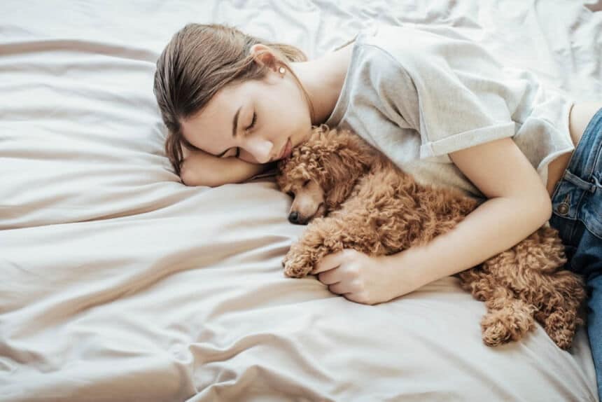 Dog Sleeping Positions: What Can They Tell About Your Pet?