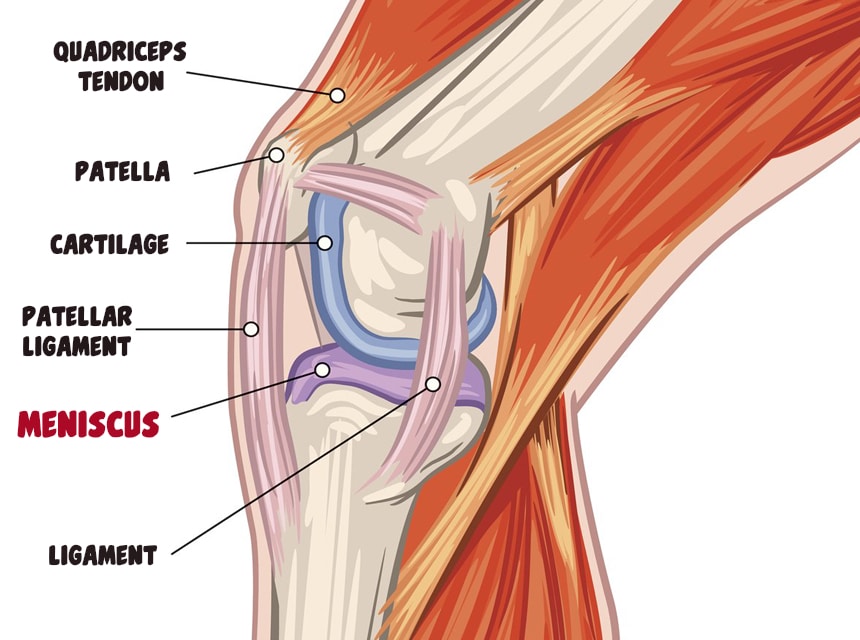 How to Sleep After Meniscus Surgery? Useful Tips and Tricks!