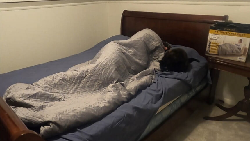 Pendleton Weighted Blanket Review: Comfortable Option for Adults (Fall 2022)