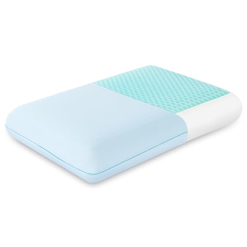EGOHOME Cooling Gel Memory Foam Pillow