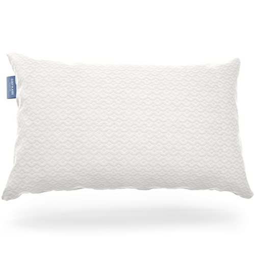 Cosy House Collection Bamboo Memory Foam Pillow