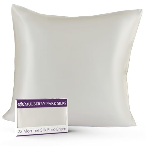 Mulberry Park Silks 22 Momme Silk Euro Sham