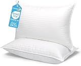 COZSINOOR Cozy Dream Series Pillows (2-Pack)